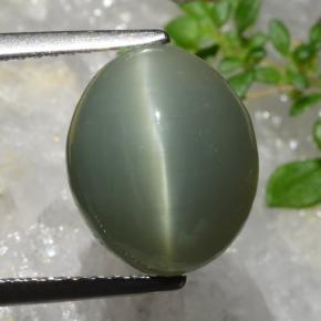 Greenish Grey Quartz Cat's Eye Gem - 5.5ct Oval Cabochon (ID: 472876)