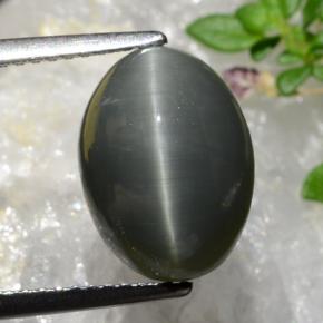 Dark Grey Quartz Cat's Eye Gem - 5.4ct Oval Cabochon (ID: 472877)