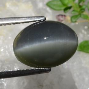 Quartz Cat's Eye Gemstone in 12.2 x 9 mm Size for Sale, Quartz Cat's Eye Stone in Dark Grey Color