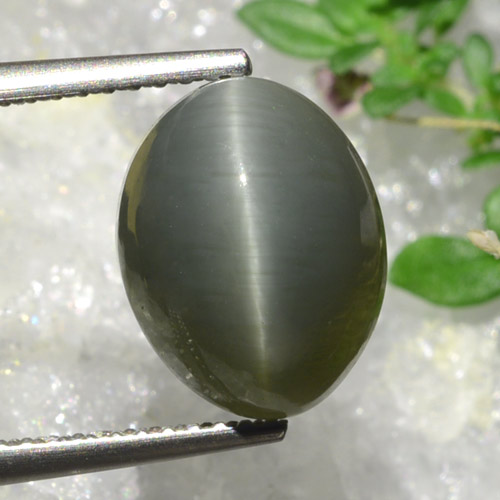 Army Green Quartz Cat's Eye Gem - 5.2ct Oval Cabochon (ID: 472879)