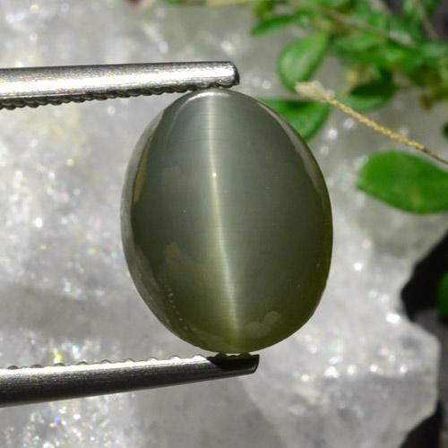 Grayish Green Quartz Cat's Eye Gem - 3.9ct Oval Cabochon (ID: 472881)