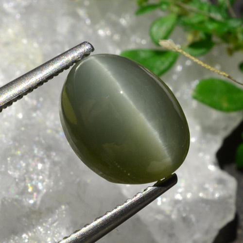 3.92 ct Green Quartz Cat's Eye Stone, Natural Quartz Cat's Eye in Oval Cabochon Shape for Sale