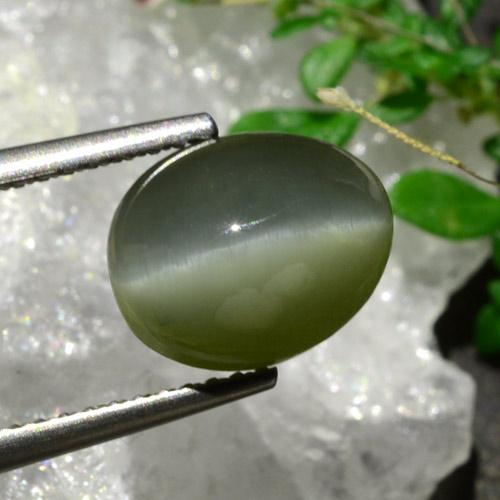 Quartz Cat's Eye Gemstone in 10 x 8 mm (calibrated) Size for Sale, Quartz Cat's Eye Stone in Medium Green Color