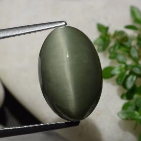 Earthy Green Quartz Cat's Eye Gem - 6.4ct Oval Cabochon (ID: 472883)