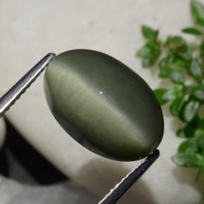 6.44 ct Green Quartz Cat's Eye Stone, Natural Quartz Cat's Eye in Oval Cabochon Shape for Sale