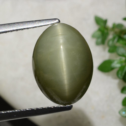 Warm Green Quartz Cat's Eye Gem - 6.2ct Oval Cabochon (ID: 472886)