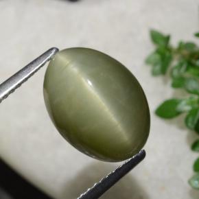 6.21 ct Green Quartz Cat's Eye Stone, Natural Quartz Cat's Eye in Oval Cabochon Shape for Sale