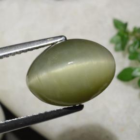 Quartz Cat's Eye Gemstone in 12.5 x 9.3 mm Size for Sale, Quartz Cat's Eye Stone in Warm Green Color
