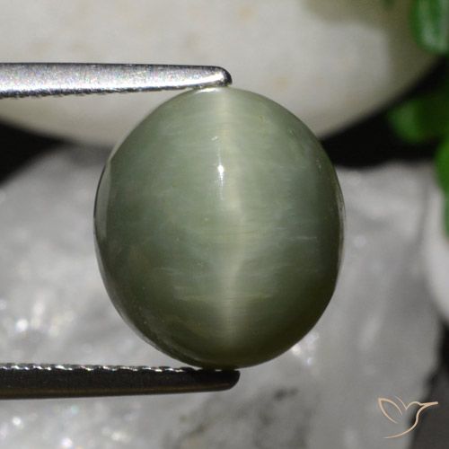 6.79 ct Oval Quartz Cat's Eye, 10.6 x 9.7 mm From Sri Lanka, Photo A