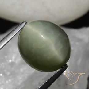6.79 ct Green Quartz Cat's Eye Stone, Natural Quartz Cat's Eye in Oval Cabochon Shape for Sale