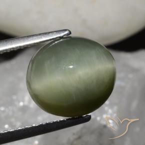 Quartz Cat's Eye Gemstone in 10.6 x 9.7 mm Size for Sale, Quartz Cat's Eye Stone in Earthy Green Color