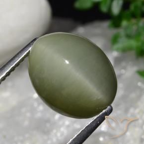 6.34 ct Green Quartz Cat's Eye Stone, Natural Quartz Cat's Eye in Oval Cabochon Shape for Sale
