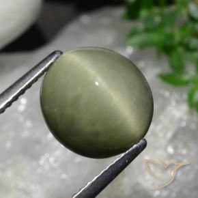 5.58 ct Green Quartz Cat's Eye Stone, Natural Quartz Cat's Eye in Oval Cabochon Shape for Sale