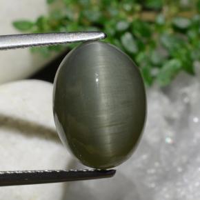 Earthy Green Quartz Cat's Eye Gem - 7ct Oval Cabochon (ID: 472893)