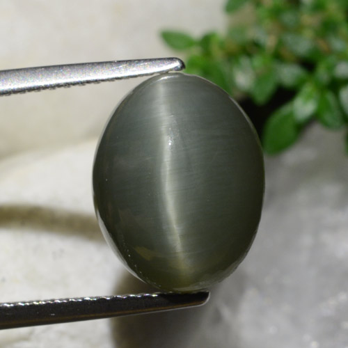 Greenish Grey Quartz Cat's Eye Gem - 6.9ct Oval Cabochon (ID: 472894)