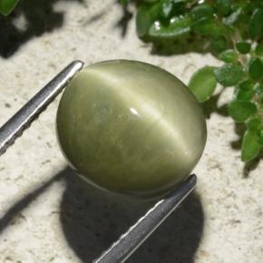 6.19 ct Green Quartz Cat's Eye Stone, Natural Quartz Cat's Eye in Oval Cabochon Shape for Sale