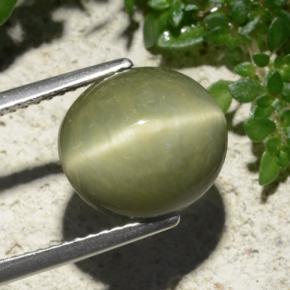 Quartz Cat's Eye Gemstone in 11.2 x 10.3 mm Size for Sale, Quartz Cat's Eye Stone in Warm Green Color