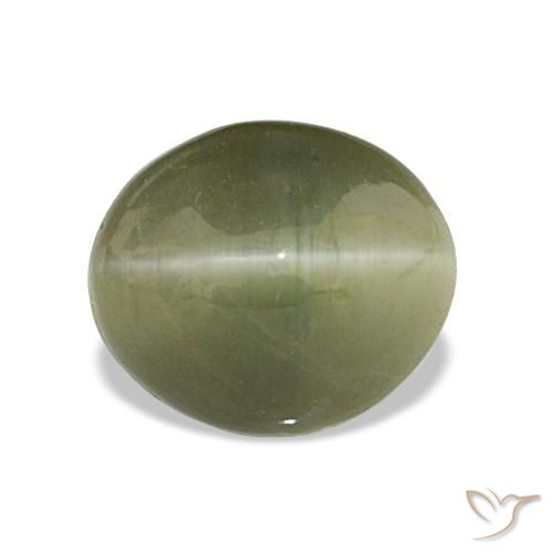 6.98ct Yellowish Green Quartz Cat's Eye, Oval, Opaque