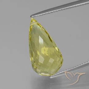 12.58ct Natural Light Yellow Quartz, Briolette, VVS