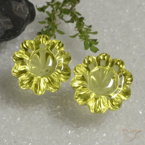 12,6x12,5 mm Blumen-Schliff Quarz-Paar - Gewicht 14,39 ct gesamt / durchschnittl. 7,2 ct, Garantiert natürliche Edelsteine, Mittelgelb Farbe in Transparent Reinheit, Mohs-Härte 7 Geeignet für den täglichen Gebrauch im Schmuck, Photo A