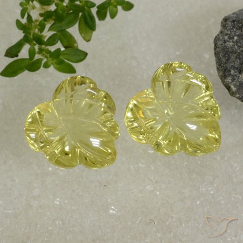12,7x12,4 mm Fantasie Quarz-Paar - Gewicht 13,09 ct gesamt / durchschnittl. 6,55 ct, Garantiert natürliche Edelsteine, Zitronengelb Farbe in Transparent Reinheit, Mohs-Härte 7 Geeignet für den täglichen Gebrauch im Schmuck, Photo A