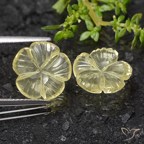 6.83ctw Natural Pale Cream Yellow Quartz, Flower Cut, Transparent