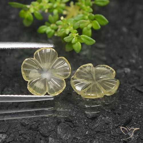 3.5 ct Yellow Quartz, 10.7 x 10.5 mm Carved From Brazil, Photo A