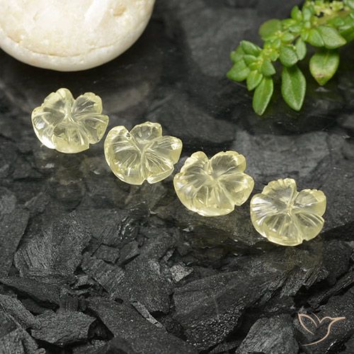 5.11ctw Natural Amarelo Creme Pálido Quartzo, Flor cortada, Transparente, Photo A