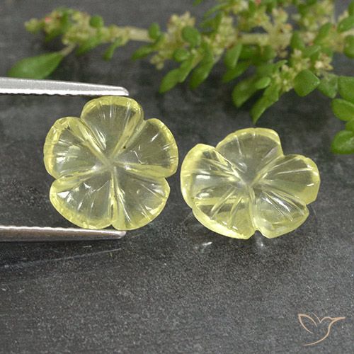 4.19 ct Yellow Quartz, 10 x 9.9 mm Carved From Brazil, Photo A