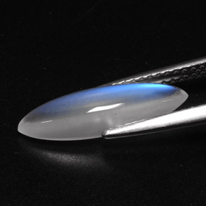 Rainbow Moonstone Gemstone in 16.5 x 5.1 mm Size for Sale, Rainbow Moonstone Stone in Blue White Color