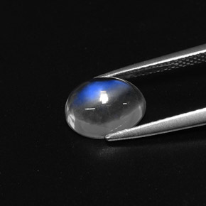Rainbow Moonstone Gemstone in 9 x 6.7 mm Size for Sale, Rainbow Moonstone Stone in Blue White Color
