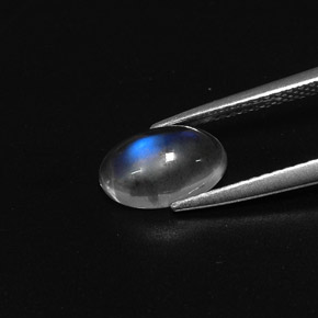 Rainbow Moonstone Gemstone in 9.3 x 5.8 mm Size for Sale, Rainbow Moonstone Stone in Blue White Color