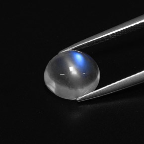 Rainbow Moonstone Gemstone in 8.9 x 7.9 mm Size for Sale, Rainbow Moonstone Stone in Blue White Color