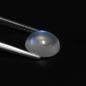 Rainbow Moonstone Gemstone in 9.4 x 7.6 mm Size for Sale, Rainbow Moonstone Stone in Blue White Color