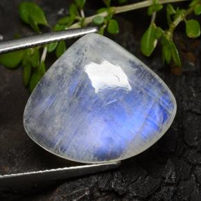 15.4ct Pear Cabochon White Blue Rainbow Moonstone Gem for sale 15.4ct Pear Cabochon White Blue Rainbow Moonstone Gem (ID: 491943)