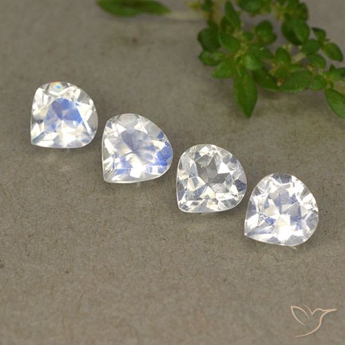 50 шт. Лот Груша Белый Радужный Лунный Камень из Индия - общий вес 1,61 ct / ср. 0,4 ct каждый, размер 5,1 x 4,9 mm, цвет: Голубовато-белый, твердость по Моосу 6 - 6,5, Photo A