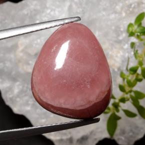 16.34 ct Multicolor Rhodochrosite Gemstone, Rhodochrosite Gem in Trillion Cabochon Shape for Sale.