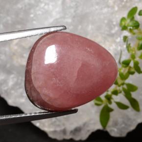 16.34 ct Multicolor Rhodochrosite Stone, Natural Rhodochrosite in Trillion Cabochon Shape for Sale