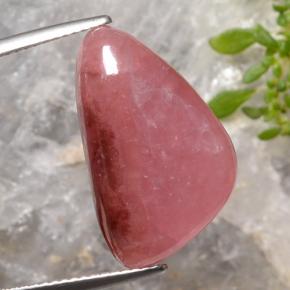 15.47 ct Multicolor Rhodochrosite Gemstone, Rhodochrosite Gem in Trillion Cabochon Shape for Sale.