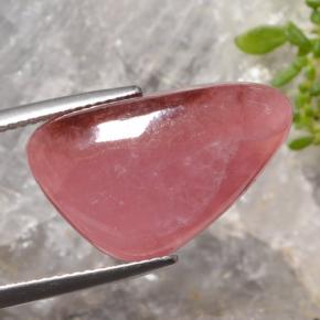 15.47 ct Multicolor Rhodochrosite Stone, Natural Rhodochrosite in Trillion Cabochon Shape for Sale