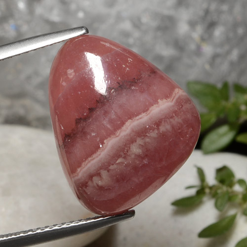 Mehrfarbig Rhodochrosit Edelstein - 16.6ct Trilliant Cabochon (ID: 472614)