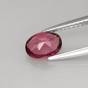 Rhodolite Garnet Gemstone in 7 x 5 mm (calibrated) Size for Sale, Rhodolite Garnet Stone in Purplish Pink Color