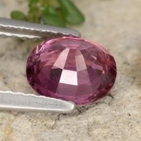 Rhodolite Garnet Gemstone in 7 x 6 mm Size for Sale, Rhodolite Garnet Stone in Pink Berry Purple Color