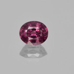 Rapberry Red Rhodolite Garnet Gem - 1.5ct Oval Facet (ID: 365502)