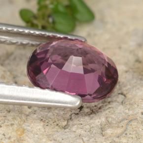 Rhodolite Garnet Gemstone in 7 x 6.1 mm Size for Sale, Rhodolite Garnet Stone in Pinkish Purple Color