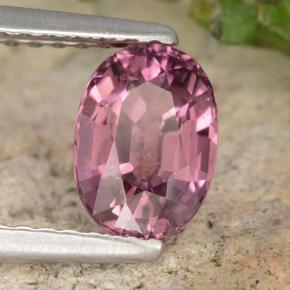 1.42 ct Red Rhodolite Garnet Stone, Natural Rhodolite Garnet in Oval Facet Shape for Sale