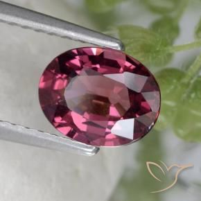 1.53 ct Purple Rhodolite Garnet Stone, Natural Rhodolite Garnet in Oval Facet Shape for Sale