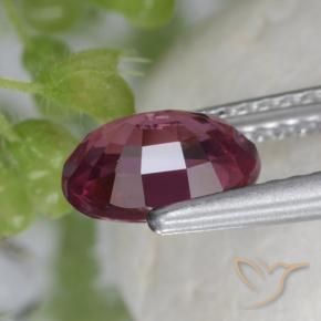 Rhodolite Garnet Gemstone in 8 x 6 mm (calibrated) Size for Sale, Rhodolite Garnet Stone in Medium Purple Color