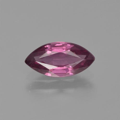 Rapberry Red Purple Rhodolite Garnet Gem - 1.2ct Marquise Facet (ID: 413028)