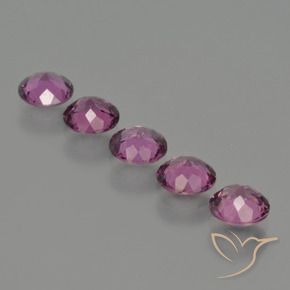 Rhodolite Garnet Gemstones in 5 mm (calibrated) Size for Sale, Rhodolite Garnet Stones in Medium-Dark Purple Color